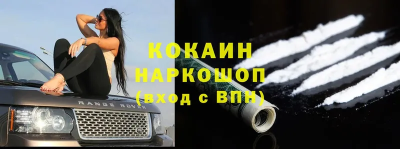 купить  цена  Боровичи  COCAIN VHQ 